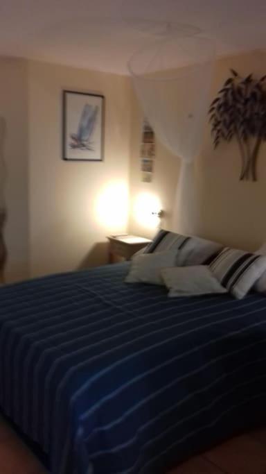 Studio Le Balisier Caritan Εξωτερικό φωτογραφία